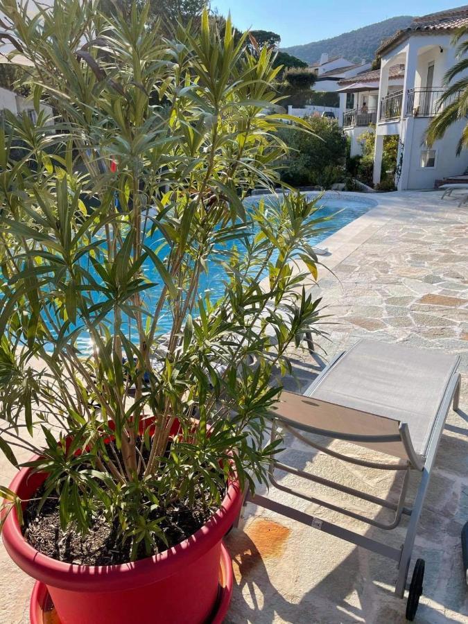 Maxima Sunset Apartment Сен Максим Екстериор снимка